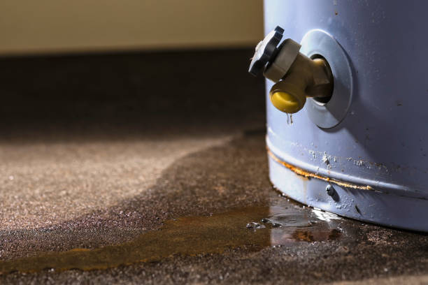Best Sewage cleanup and water damage restoration  in Marinette, WI