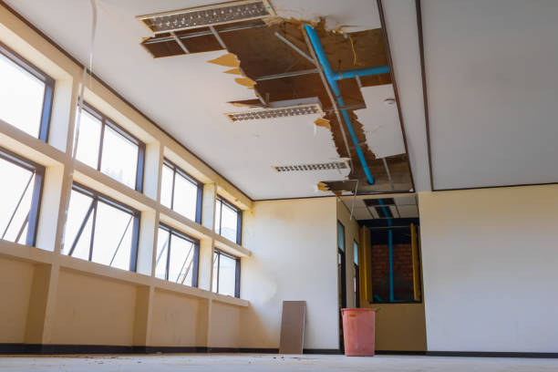 Best Mold removal after water damage  in Marinette, WI