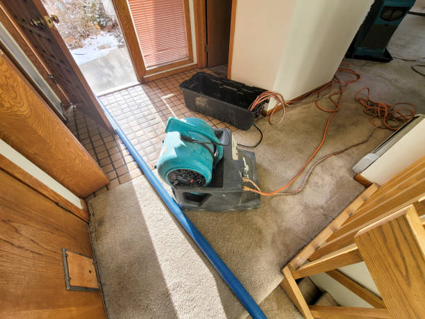 Best 24-hour water damage restoration  in Marinette, WI