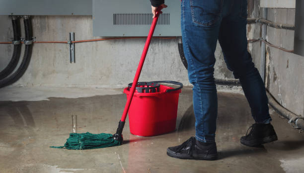 Carpet water damage restoration in Marinette, WI