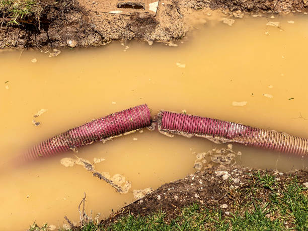 Best Residential water damage restoration  in Marinette, WI